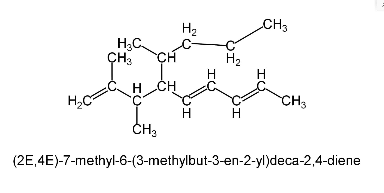 Read more about the article Organic Chemistry as a second language